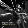 Pigeon John - The Bomb Single version